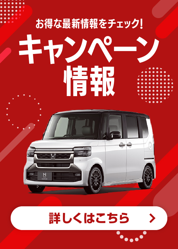 キャンペーン情報